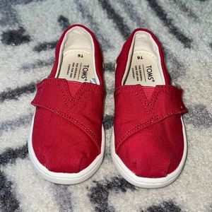 🐞Toddler Toms🐞